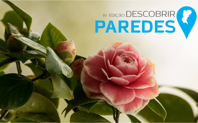 descobrirparedes