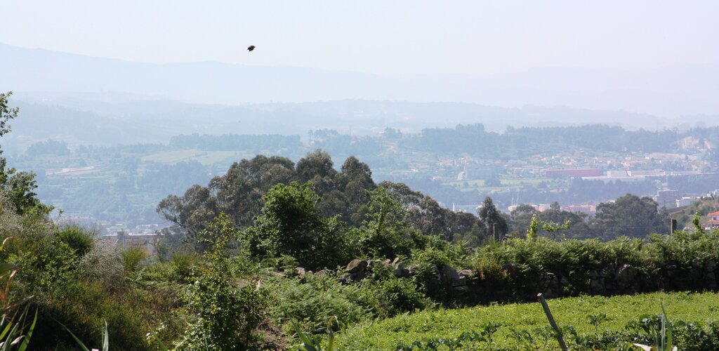 Vista_panor_mica_sobre_Sobrosa__Penafiel_e_ao_fundo_Serra_do_Mar_o