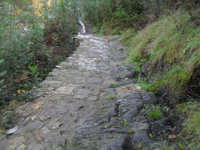 trilho_de_alvre_6