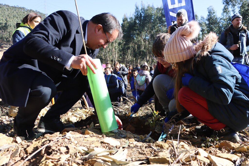 600 carvalhos plantados no Parque das Serras do Porto por 150 alunos de Gondomar, Paredes e Valongo