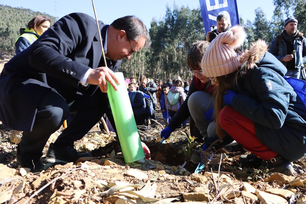 600 carvalhos plantados no Parque das Serras do Porto por 150 alunos de Gondomar, Paredes e Valongo 