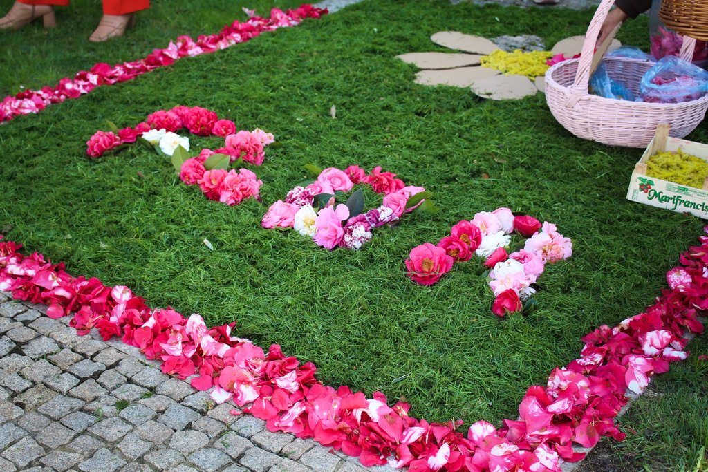"Primavera Festival da Flor” volta a colorir Paredes de 4 a 25 de março