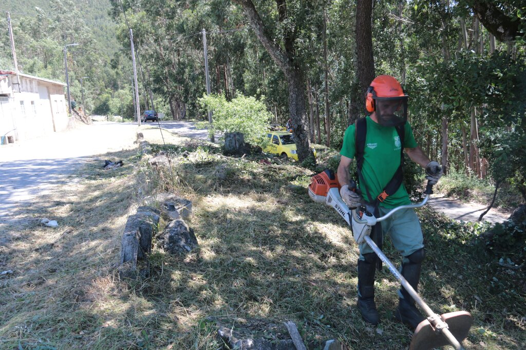 Câmara de Paredes volta alertar proprietários para a limpeza de terrenos