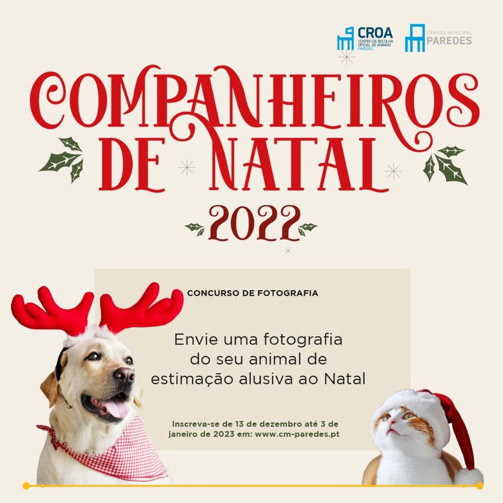 cartaz companheiros natal 2022 23