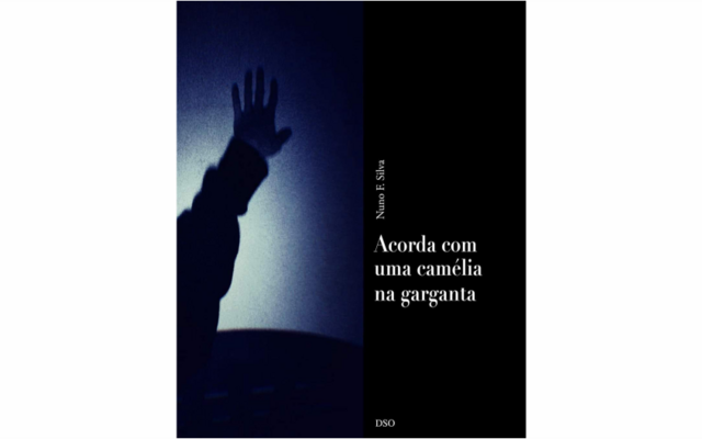 livro_nunofsilva