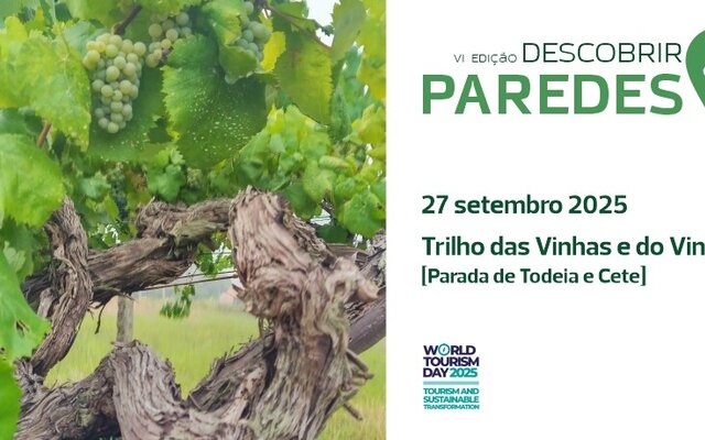 descobrir_paredes