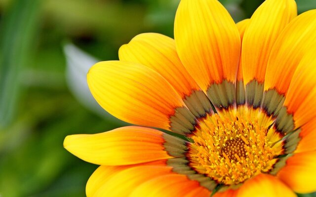 yellow-715540_1920