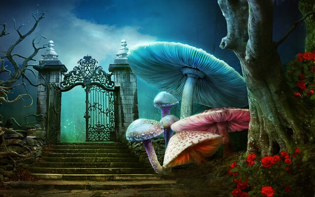 IMAGEM_A_Insana_TRU_PE_A_REBORDOSA