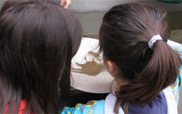 batear_semana_parceiros_site