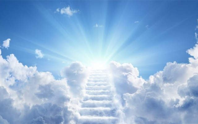 girassol_mouriz_site