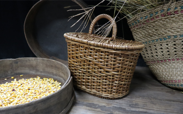 exposicao_mundo_rural_site