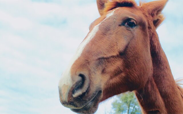 exposicao_puraliberdade_site