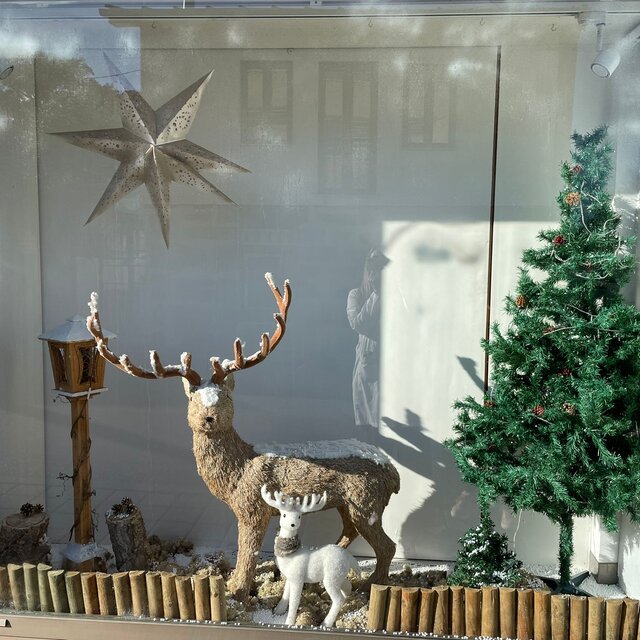 Farmacia de Cristelo (3)