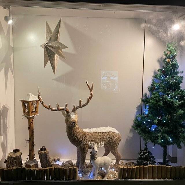 Farmacia de Cristelo (5)