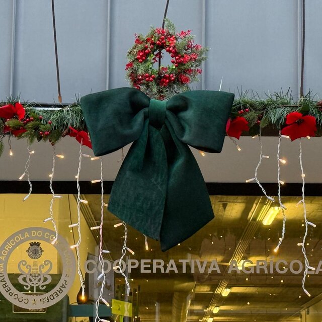 Cooperativa Agr. Paredes (4)