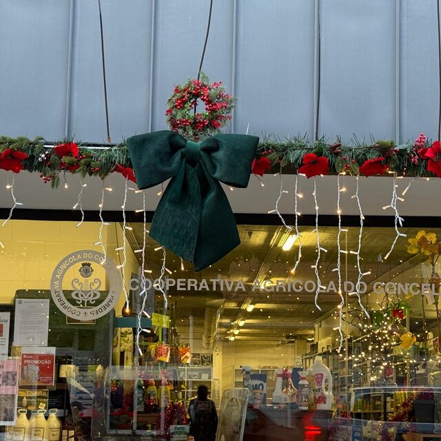 Cooperativa Agr. Paredes (5)