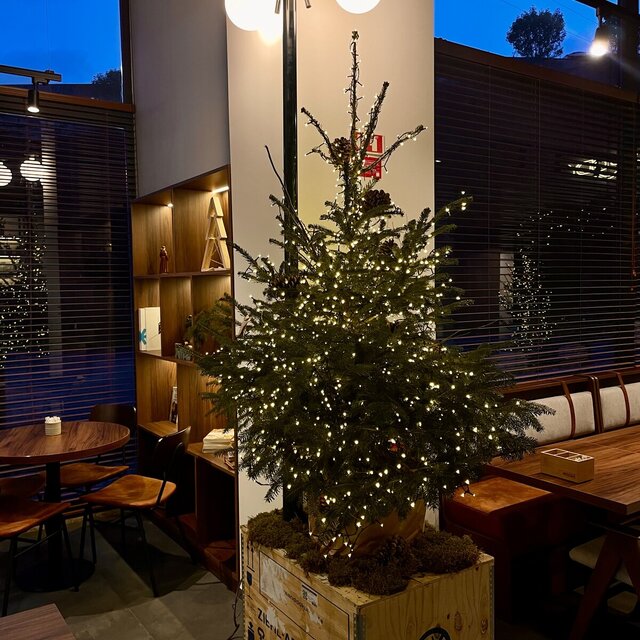 Moody - Coffee & Brunch (2)