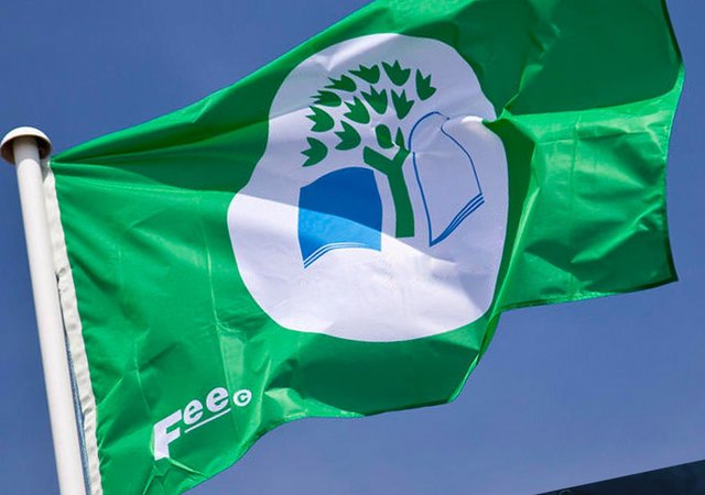 bandeira_verde_eco_escolas_dr_reflexodigital_web