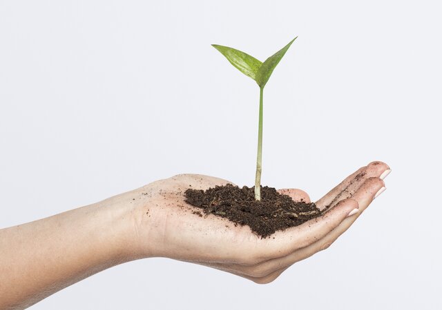 hands_cupping_plant_business_investment__1_