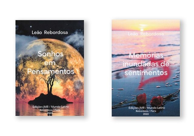 apresentacao_do_livro_de_leao_rebordosa