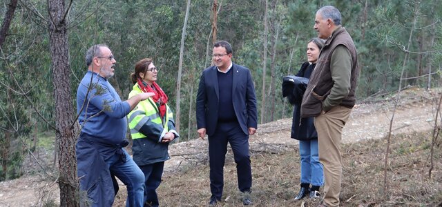 plantacao_ctt_e_quercus__1_