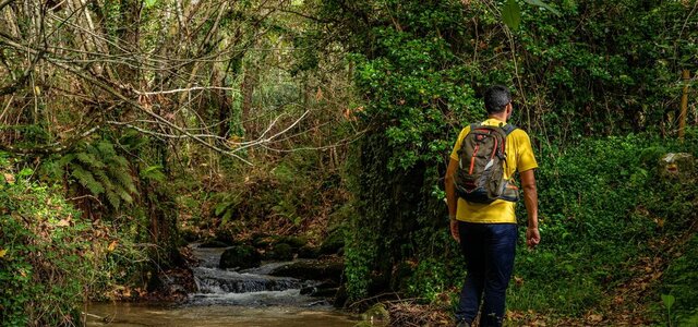 img_0912_1_1024_2500