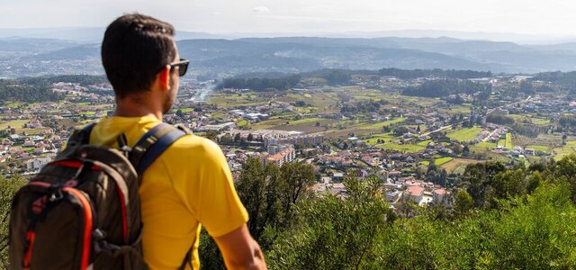 img_0354_1_1024_2500