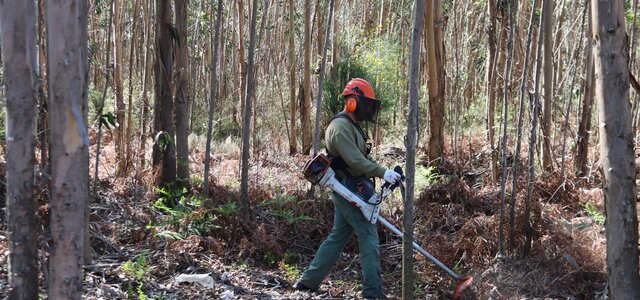 limpeza_de_terrenos___cmp