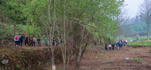Trilho das Vinhas e do Vinho