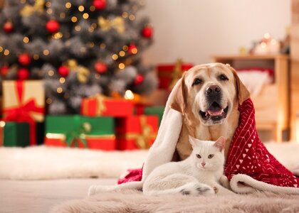 companheiros_de_natal