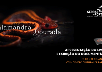 fb_event_livro_salamandra_dourada__1_