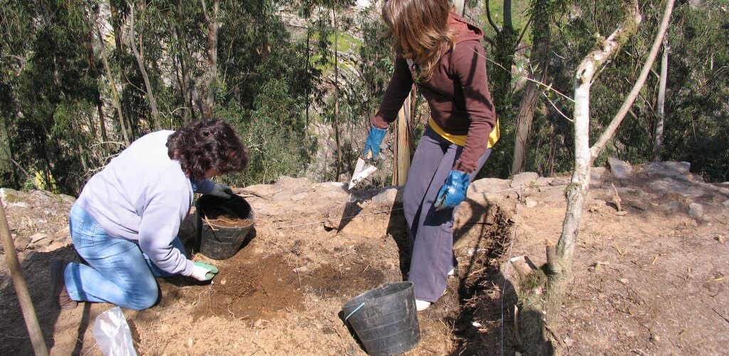 Trabalho de campo 1 1024 500