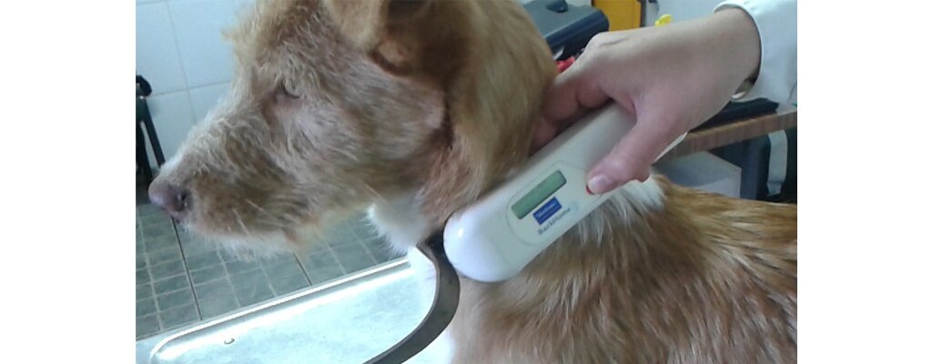 1024 400 identeletronica3 1 1024 400