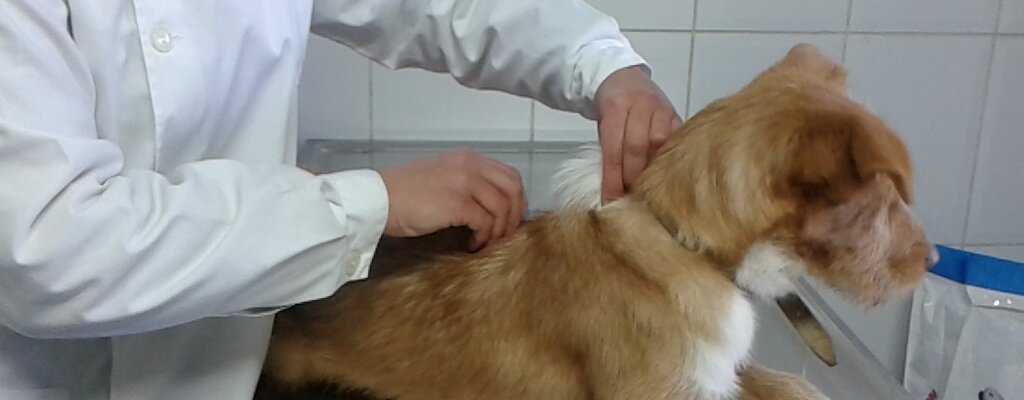 20161202 102130 1 1 1024 400