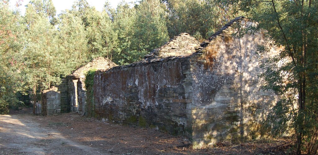 Cmineirobanjas 1 1024 500