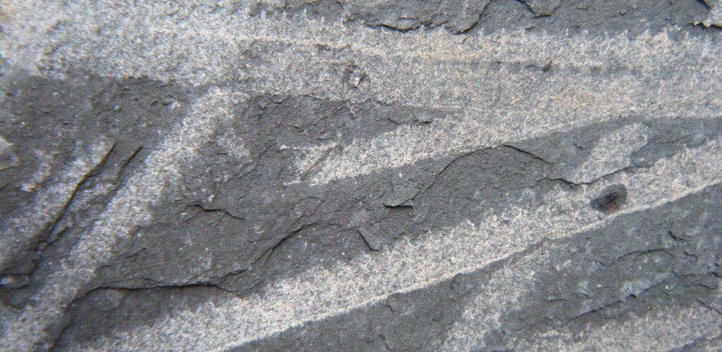 Graptolitos 1 1024 500