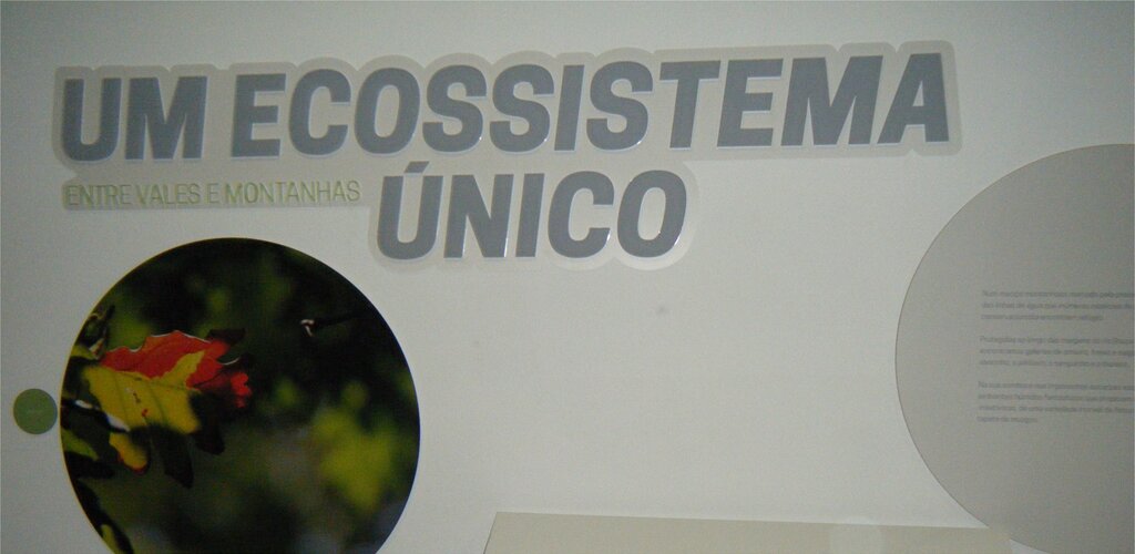 Ciss site 1 1024 500