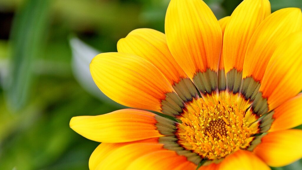yellow-715540_1920
