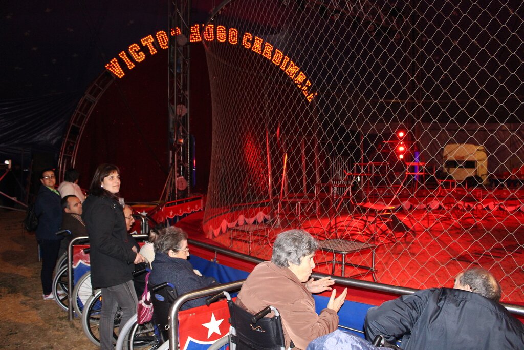 Câmara de Paredes levou 155 idosos ao Circo