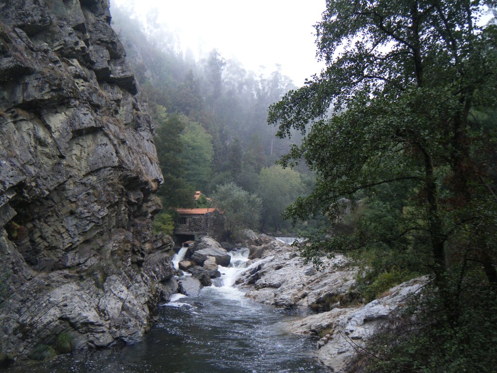 DSCF0514
