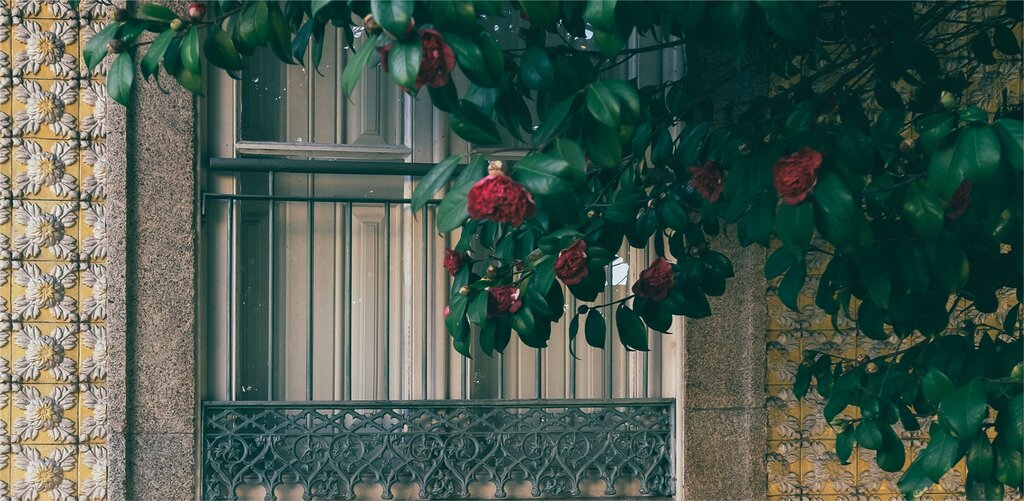 primavera_festival_da_flor_site_agenda