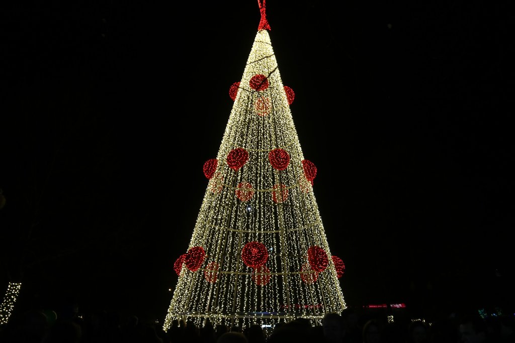 CM Paredes / Paredes inaugura sábado iluminação da “Árvore de Natal” com 30  mil micro lâmpadas LED
