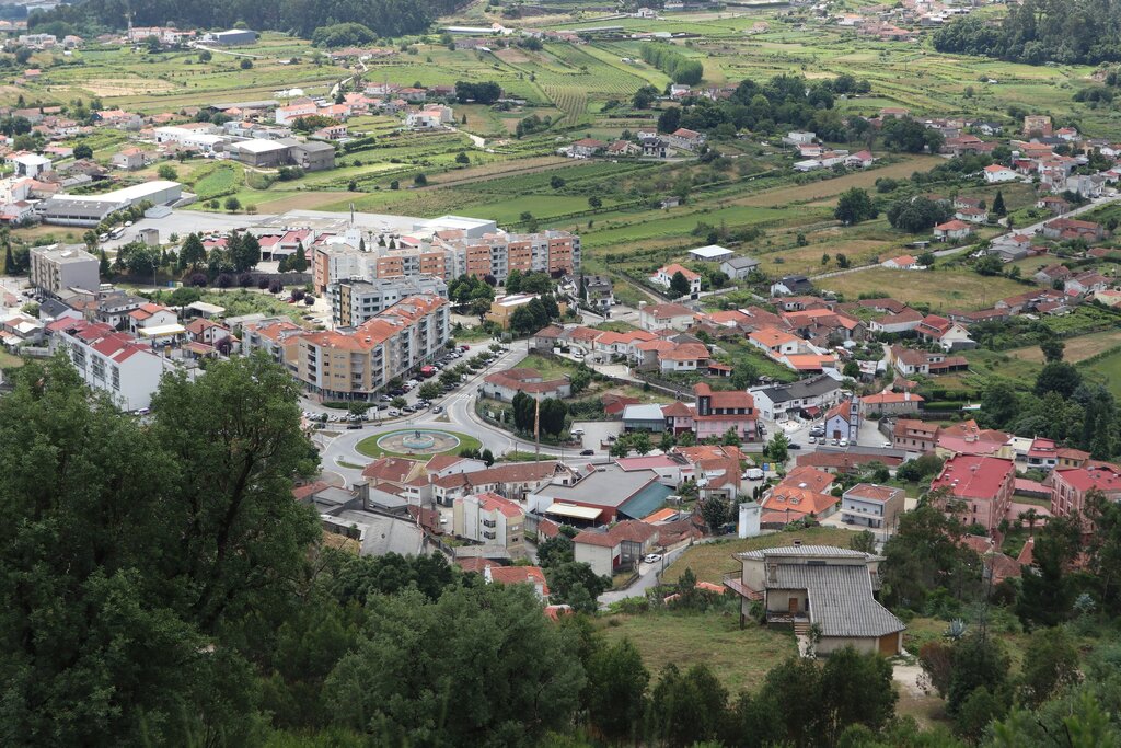 img_0559