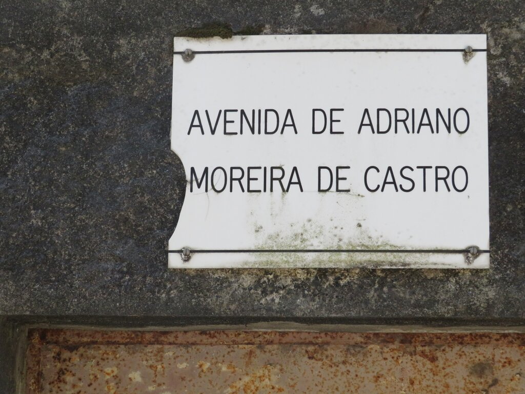 avenida_adriano_moreira_de_castro_louredo__3_