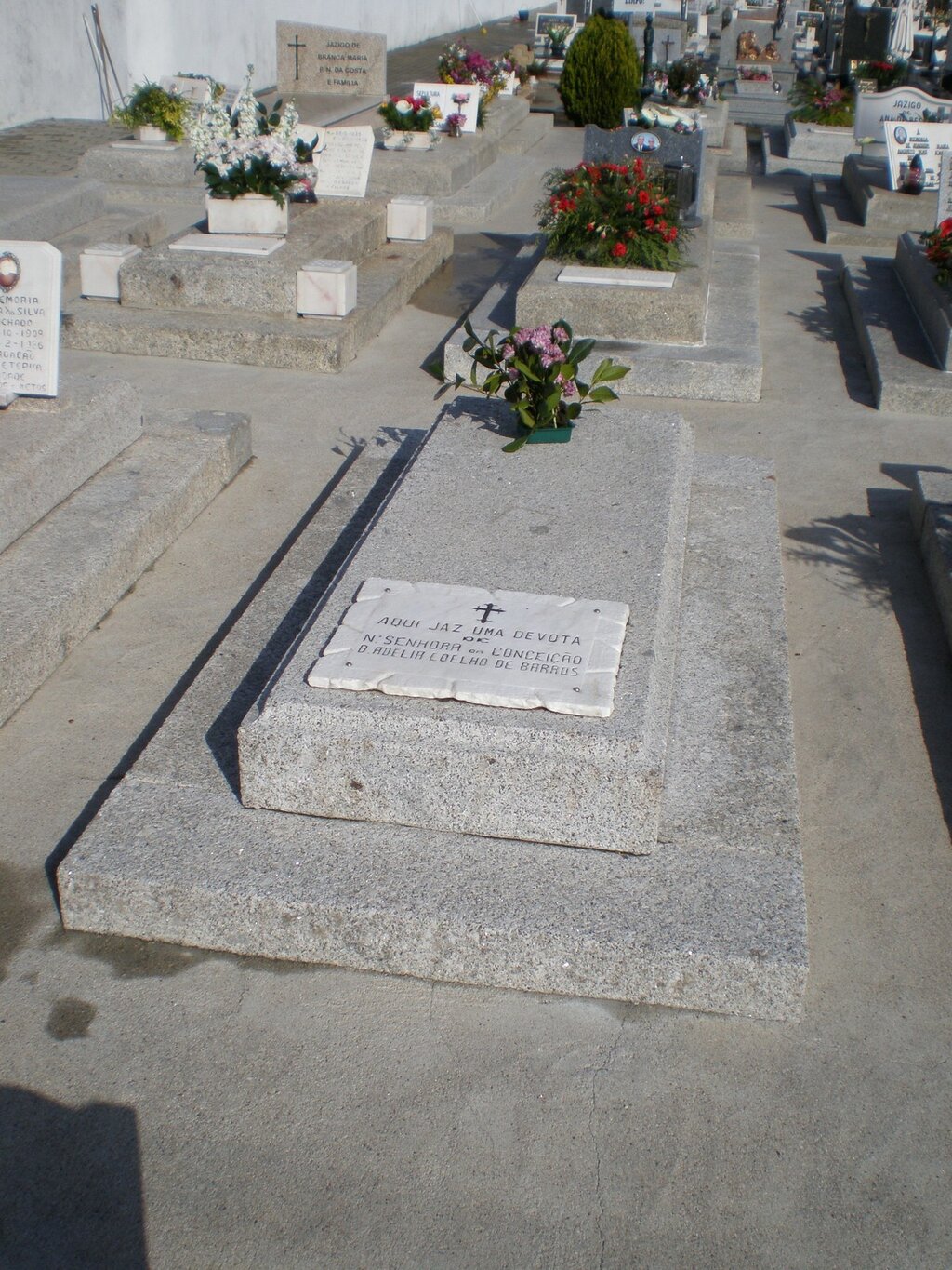 sepultura