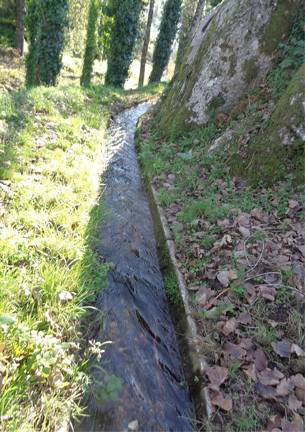fontaneiro