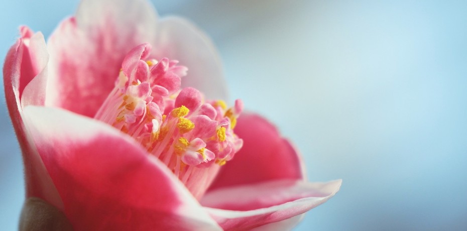 Dia Mundial da Poesia