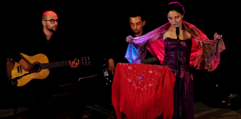 Espetáculo de Fado "A Tasca do Chico"