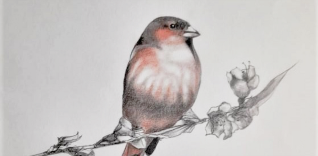 Exposição "Anjos de Bico e Flores Grátis de Deus" de FMaria Prosa