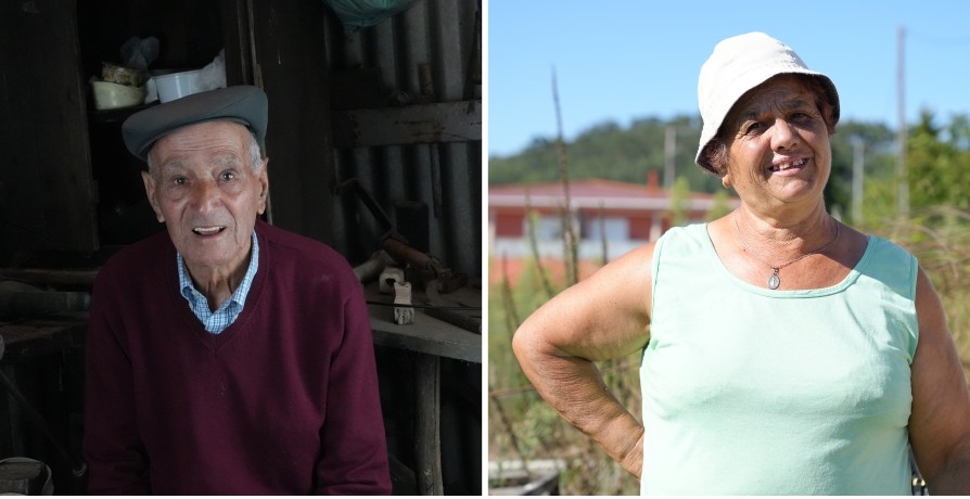 Memórias da Minha Terra